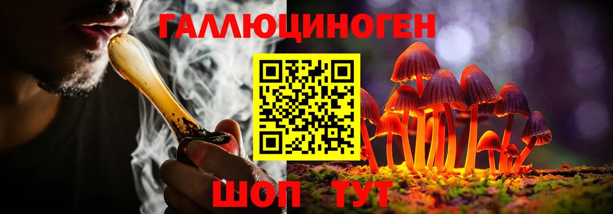 Псилоцибиновые грибы Magic Shrooms  Вход с VPN  Новосибирск 